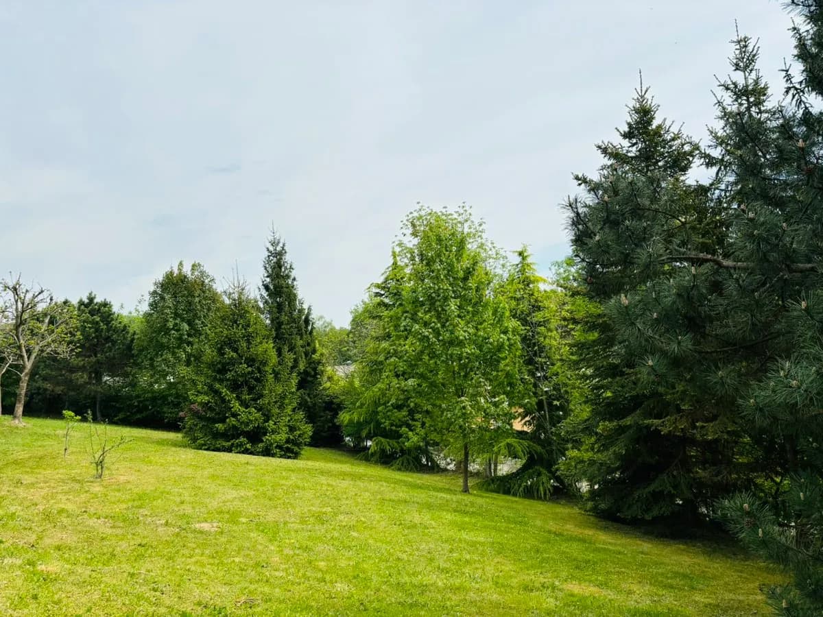 Grundstück kaufen in Graz – 889 m², € 999.000 – Bild 2 von 2