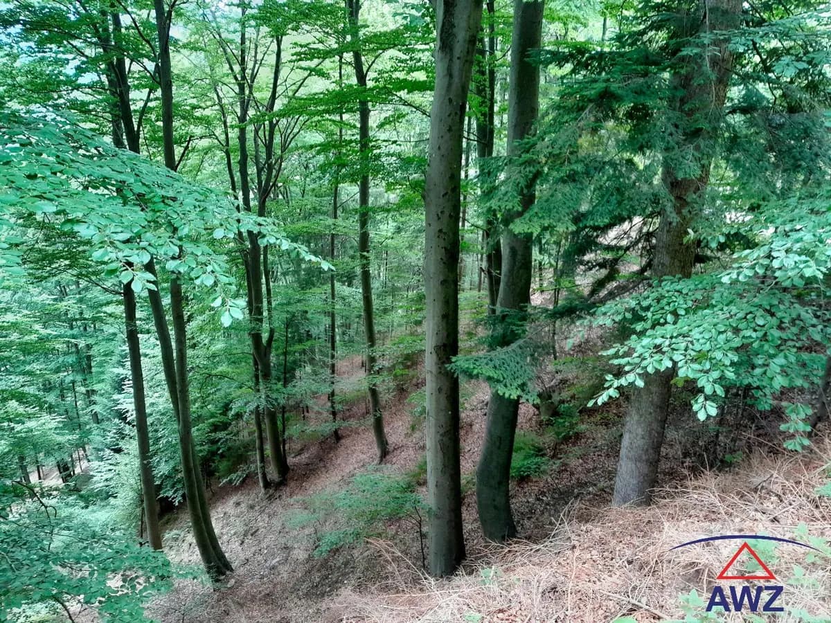 Grundstück kaufen in Graz-Umgebung – 163 000 m² – Bild 3 von 5