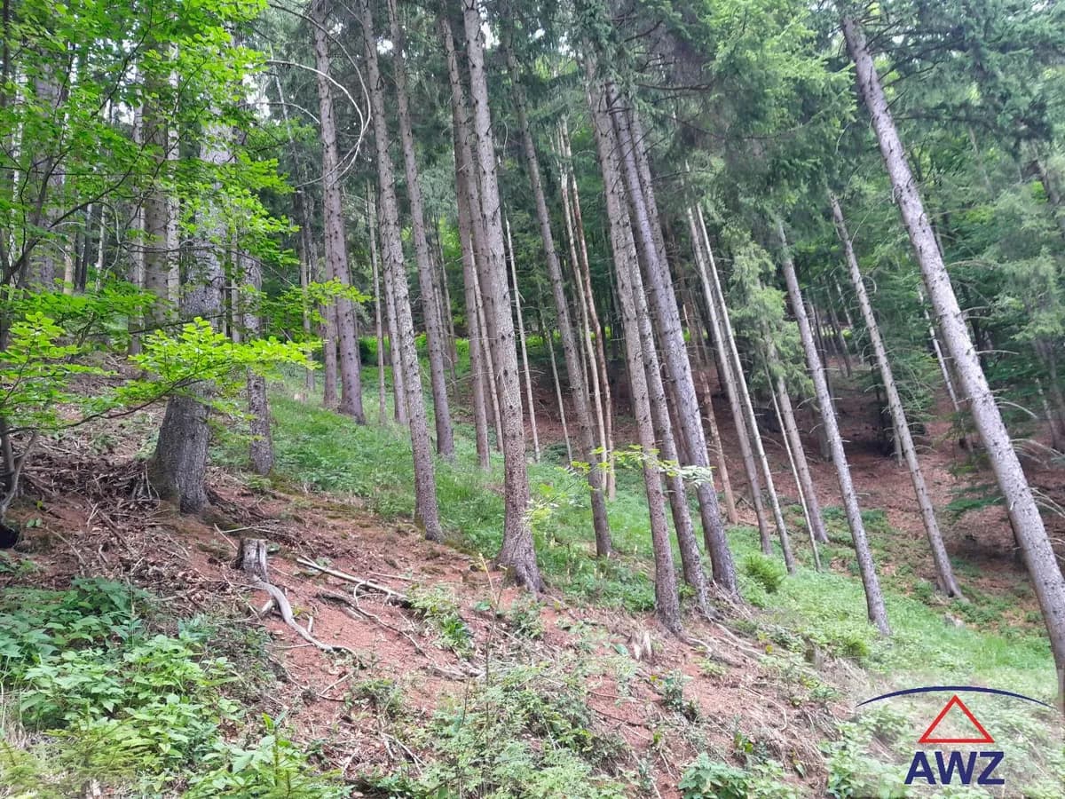Grundstück kaufen in Graz-Umgebung – 163 000 m² – Bild 4 von 5