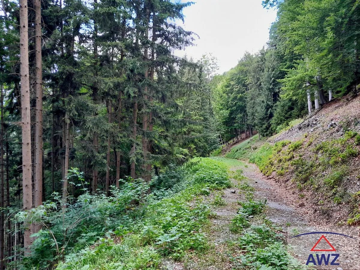 Grundstück kaufen in Graz-Umgebung – 163 000 m² – Bild 5 von 5