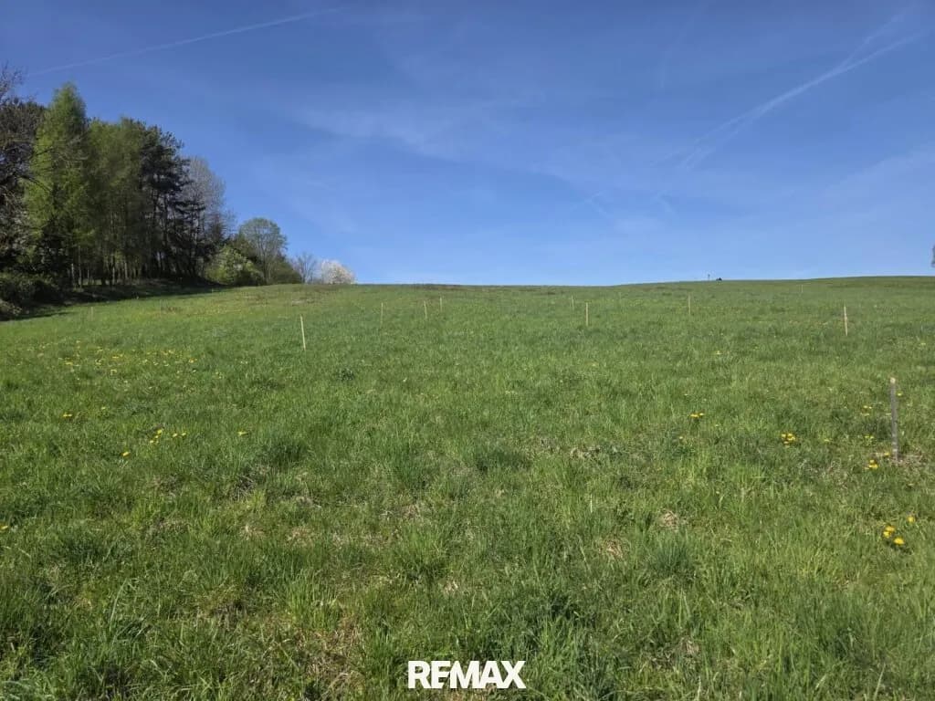 Grundstück kaufen in Südoststeiermark – 649 m², € 44.132 – Bild 3 von 7