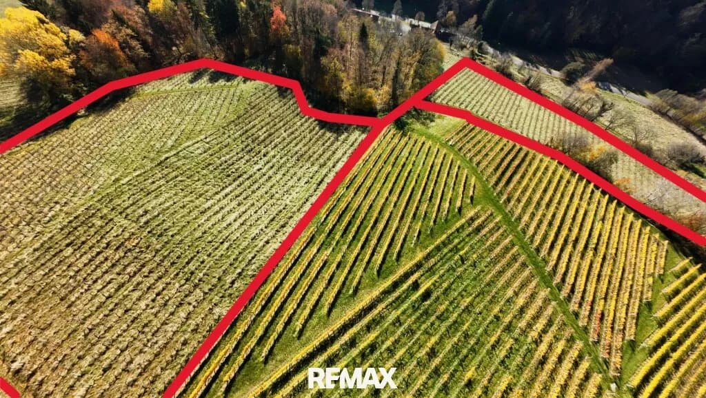 Immobilie kaufen in Leibnitz – 20 520 m², € 299.000 – Bild 1 von 5