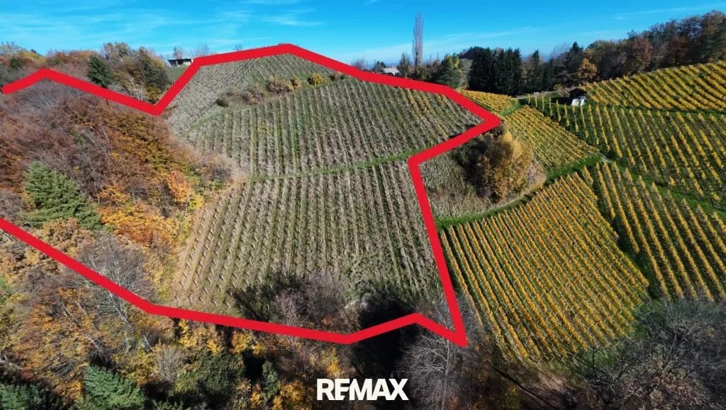 Immobilie kaufen in Leibnitz – 23 410 m², € 99.000