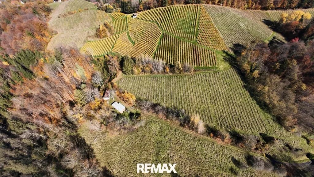 Immobilie kaufen in Leibnitz – 23 410 m², € 99.000 – Bild 5 von 6