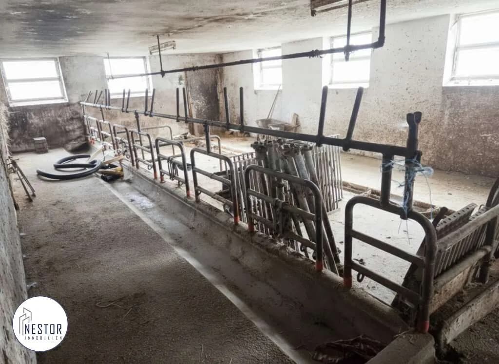 5-Zimmer-Immobilie kaufen in Zwettl – 130 m², € 230.000 – Bild 12 von 16