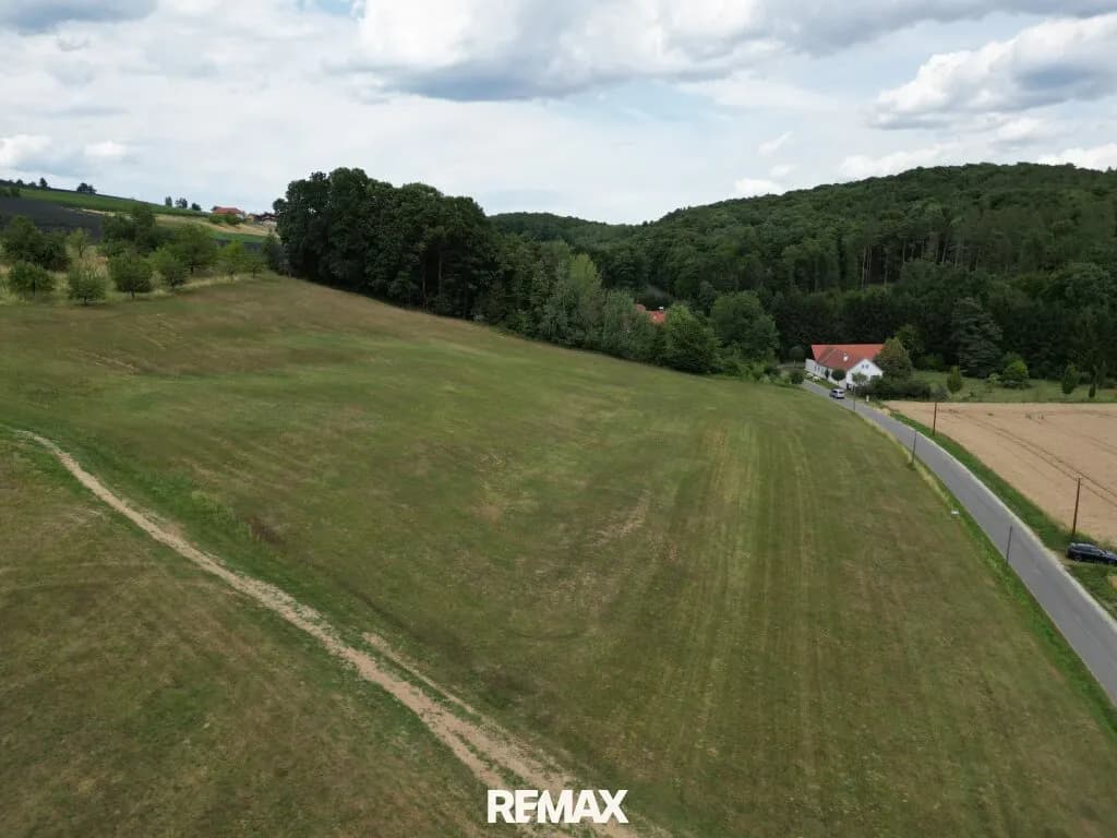 Grundstück kaufen in Güssing – 7 478 m², € 165.000 – Bild 4 von 6