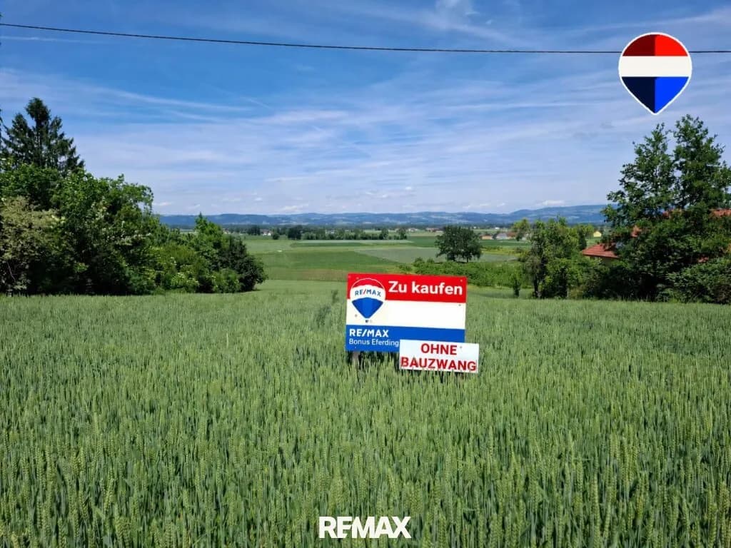 Grundstück kaufen in Eferding – 2 309 m², € 239.000