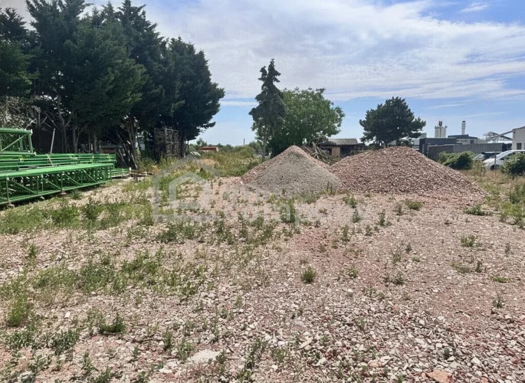 Immobilie mieten in Wiener Neustadt Land – 1 560 m², € 1.560 – Bild 3 von 4