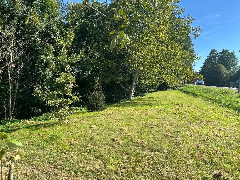 5-Zimmer-Haus kaufen in Südoststeiermark – 112 m², € 220.000 – Bild 14 von 15