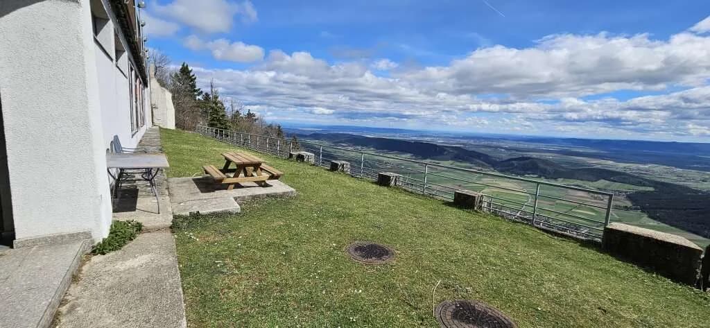 Gewerbeimmobilie kaufen in Wiener Neustadt Land – 636 m², € 1.790.000 – Bild 35 von 47
