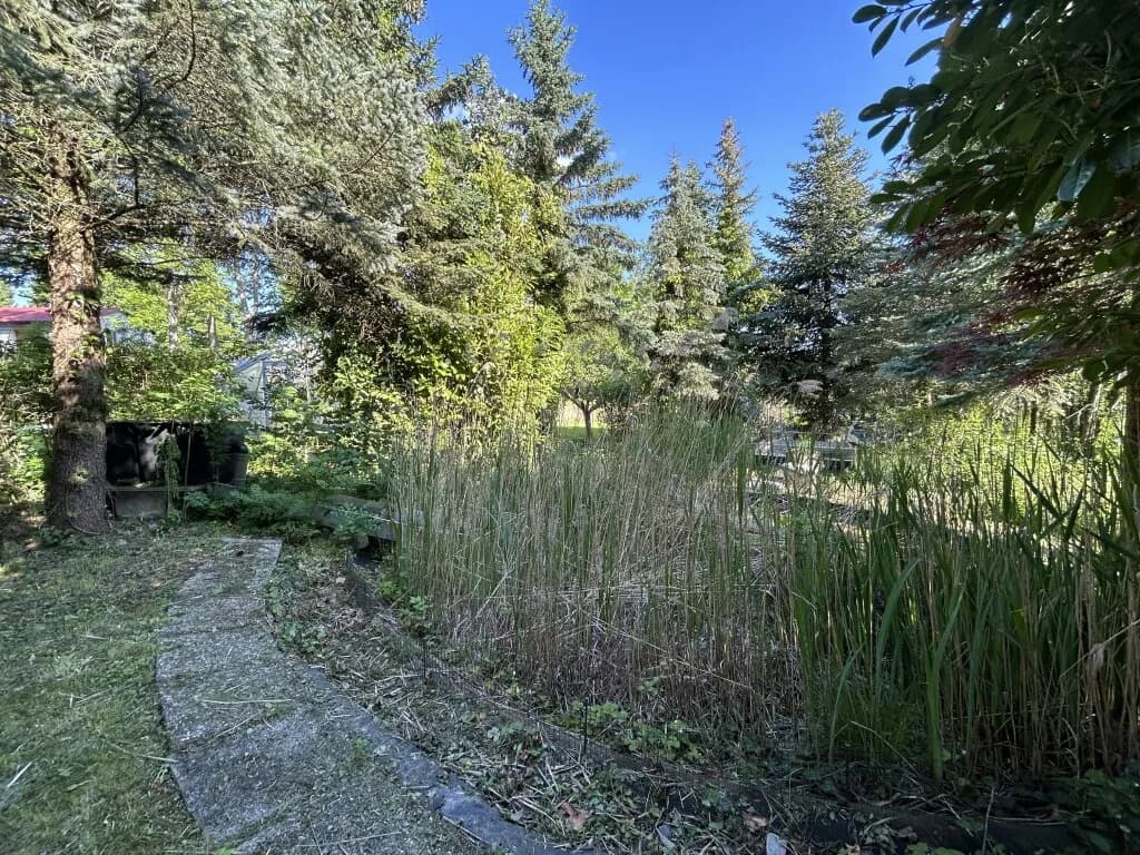 8-Zimmer-Gewerbeimmobilie kaufen in Oberpullendorf – 400 m², € 299.900 – Bild 40 von 58