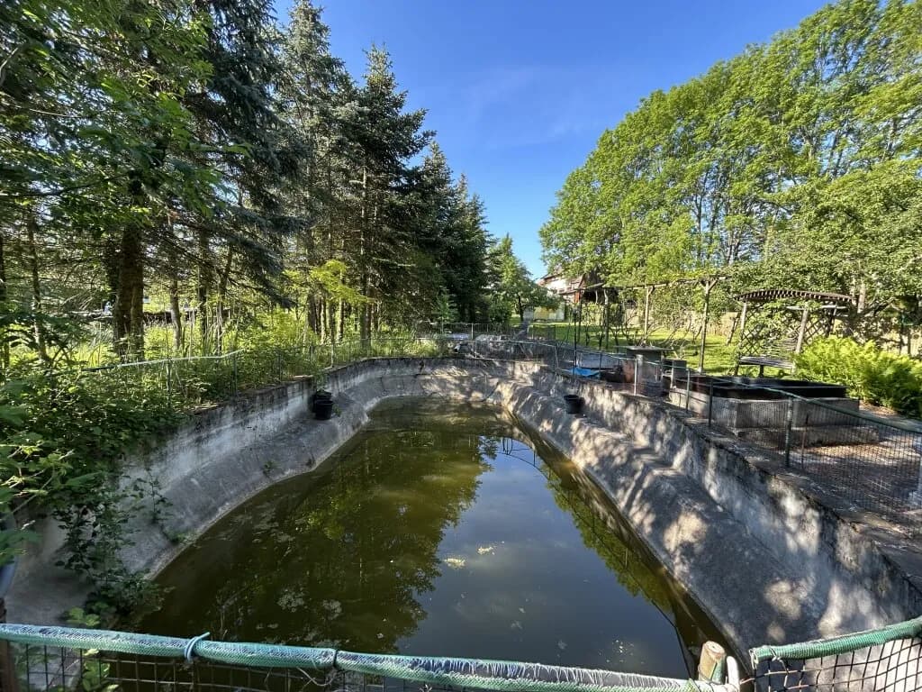 8-Zimmer-Gewerbeimmobilie kaufen in Oberpullendorf – 400 m², € 299.900 – Bild 43 von 58