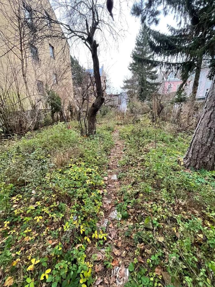 5-Zimmer-Haus kaufen in Wien – 120 m², € 690.000 – Bild 10 von 21