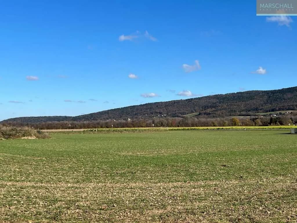 Immobilie kaufen in Wiener Neustadt Land – 10 000 m², € 1.395.000 – Bild 3 von 6