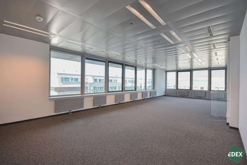 Gewerbeimmobilie mieten in Wien – 711 m², € 16 – Bild 4 von 6