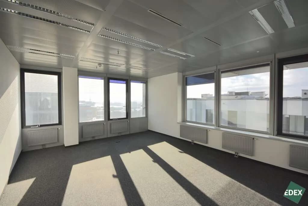 Gewerbeimmobilie mieten in Wien – 711 m², € 16 – Bild 5 von 6