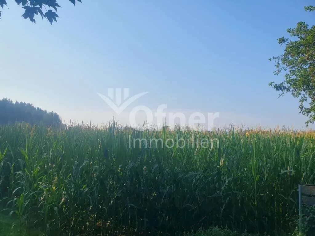 Grundstück kaufen in Voitsberg – 5 270 m², € 63.240 – Bild 2 von 5