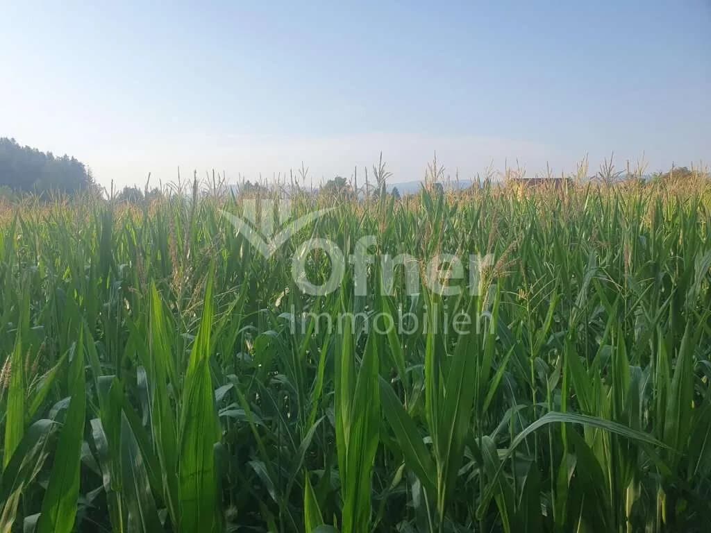 Grundstück kaufen in Voitsberg – 5 270 m², € 63.240 – Bild 3 von 5