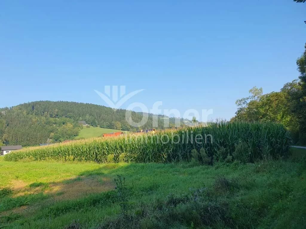 Grundstück kaufen in Voitsberg – 5 270 m², € 63.240 – Bild 5 von 5