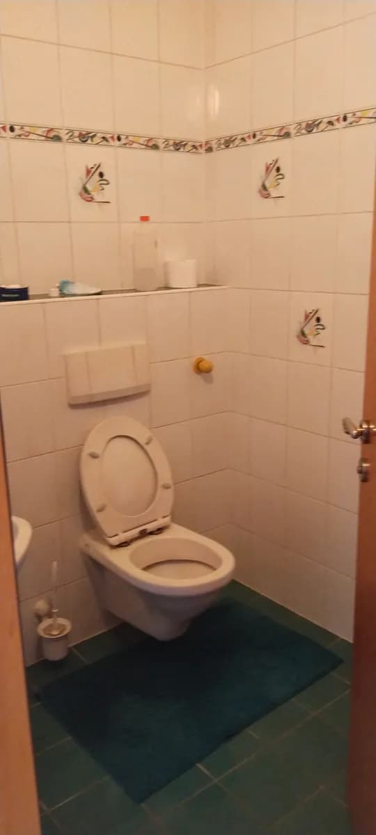 7-Zimmer-Haus kaufen in Südoststeiermark – 259 m², € 670.000 – Bild 15 von 44