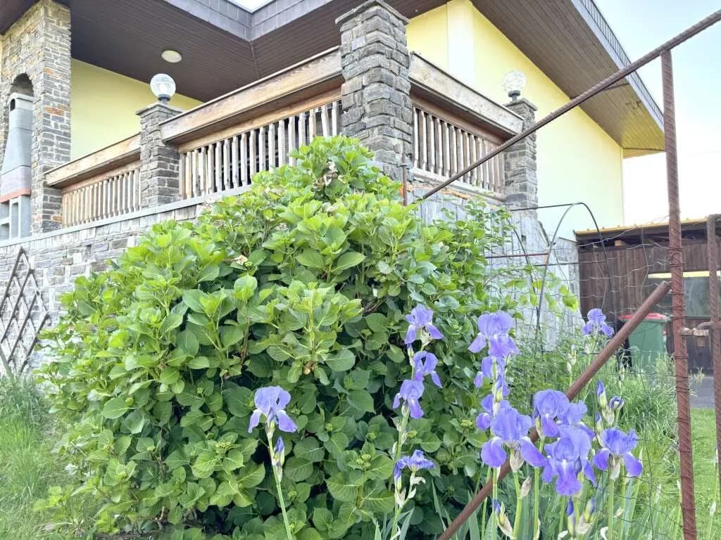 7-Zimmer-Haus kaufen in Südoststeiermark – 198 m², € 280.000 – Bild 30 von 33
