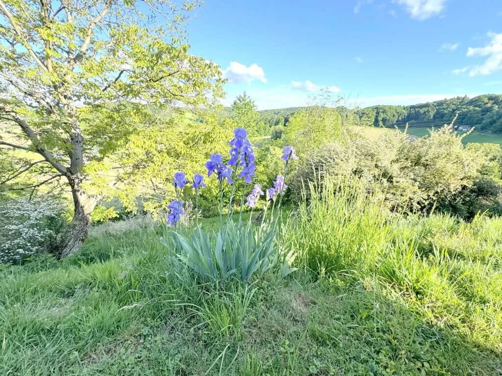 7-Zimmer-Haus kaufen in Südoststeiermark – 198 m², € 280.000 – Bild 31 von 33