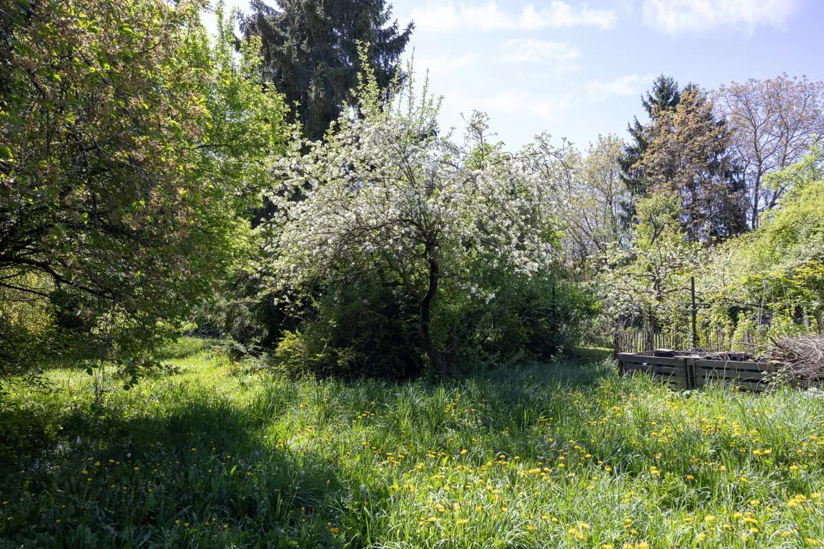 Haus kaufen in Baden – 294 m², € 600.000 – Bild 14 von 17