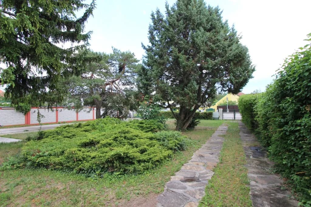 Haus kaufen in Wiener Neustadt – 199,33 m², € 620.000 – Bild 3 von 22