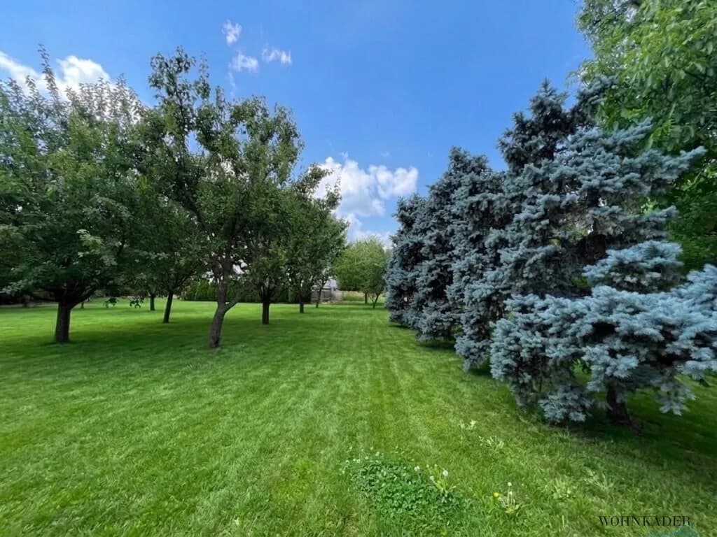5-Zimmer-Haus mieten in Wien – 200 m², € 4.000 – Bild 9 von 40