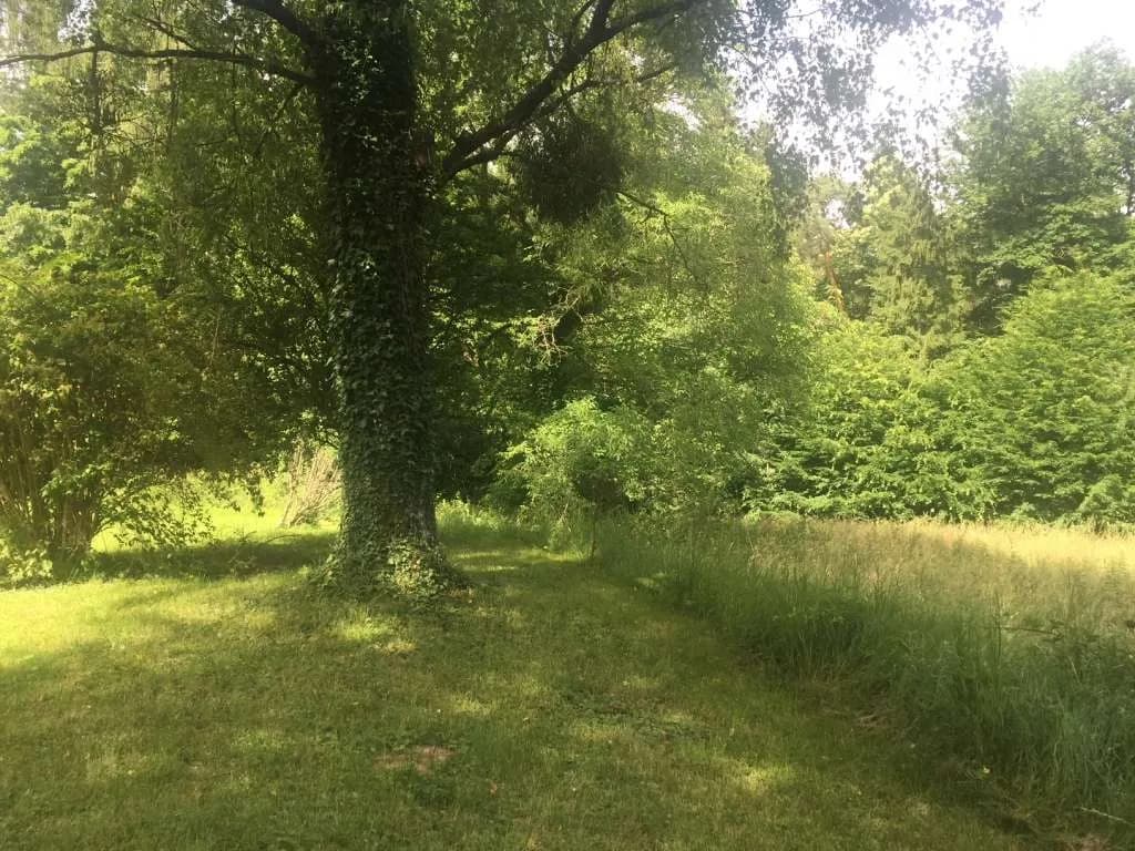 Grundstück kaufen in Graz-Umgebung – 2 310 m², € 218.000
