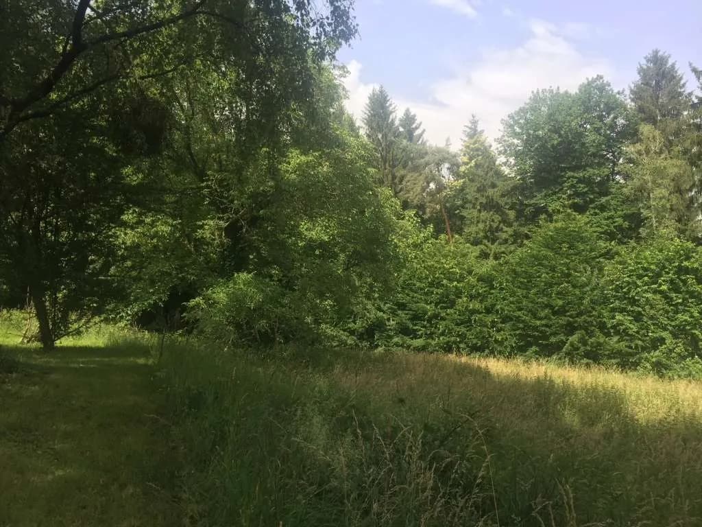 Grundstück kaufen in Graz-Umgebung – 2 310 m², € 218.000 – Bild 2 von 2