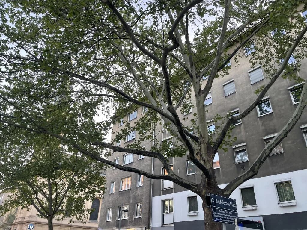 2-Zimmer-Wohnung kaufen in Wien – 60 m², € 328.000 – Bild 20 von 23