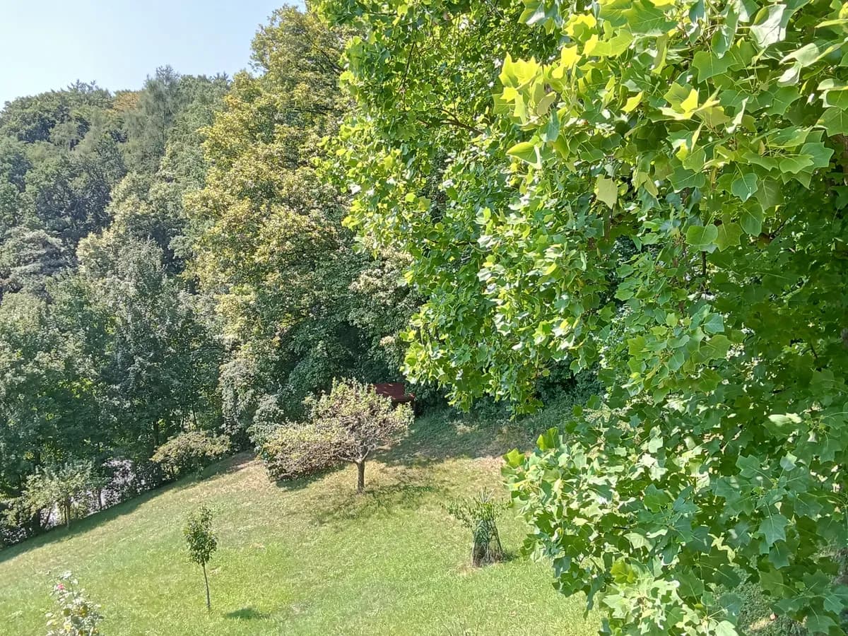 Wohnung mieten in Graz-Umgebung – 45 m², € 550 – Bild 1 von 11