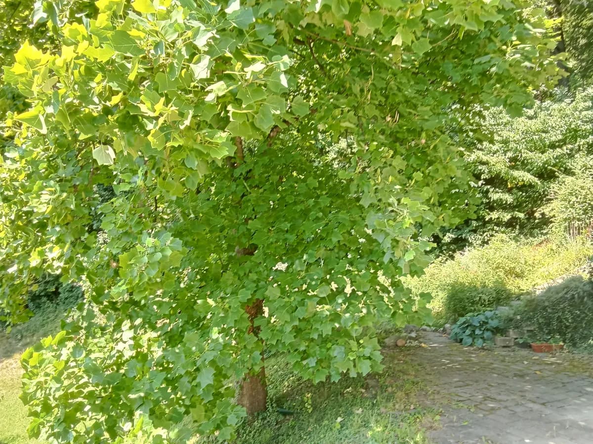 Wohnung mieten in Graz-Umgebung – 45 m², € 550 – Bild 11 von 11