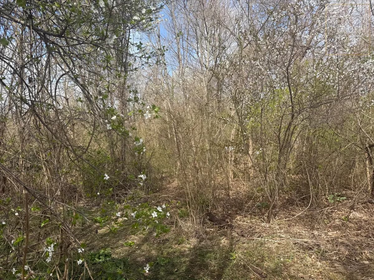 Grundstück kaufen in Baden – 11 932 m², € 1.193.200 – Bild 3 von 4