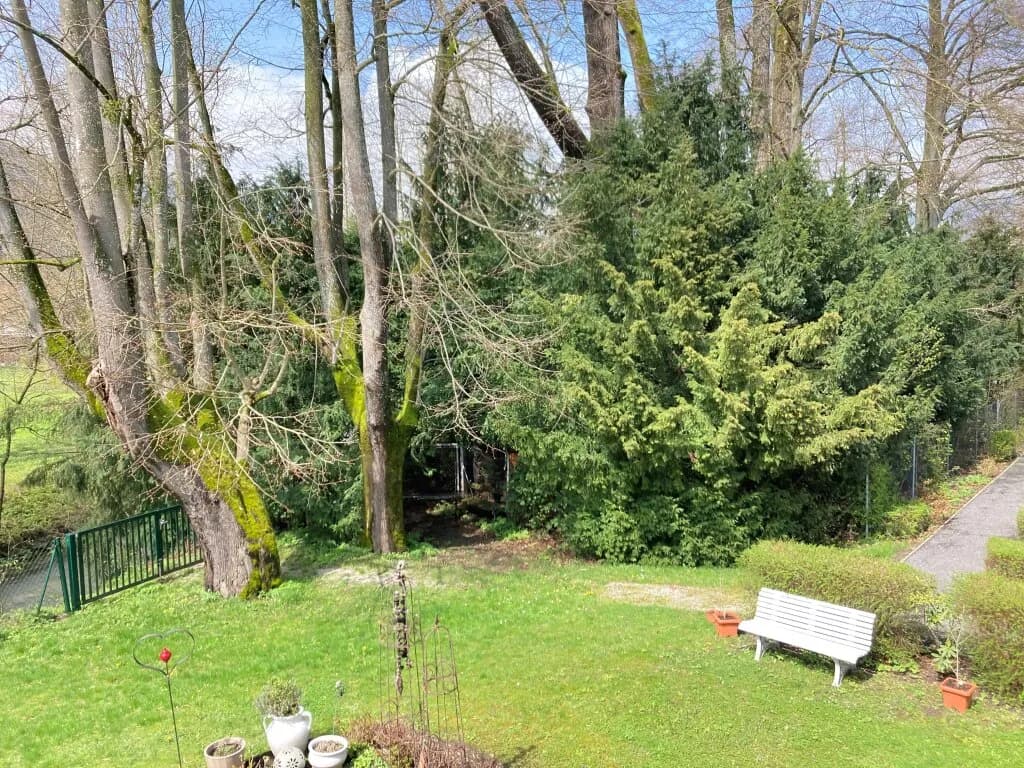 2-Zimmer-Wohnung mieten in Scheibbs – 49,13 m², € 548 – Bild 4 von 11