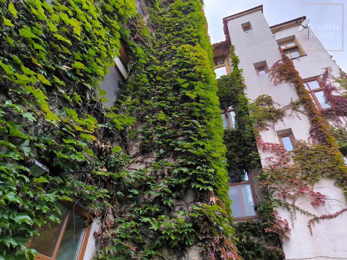 4-Zimmer-Wohnung kaufen in Wien – 85 m², € 299.000 – Bild 9 von 10