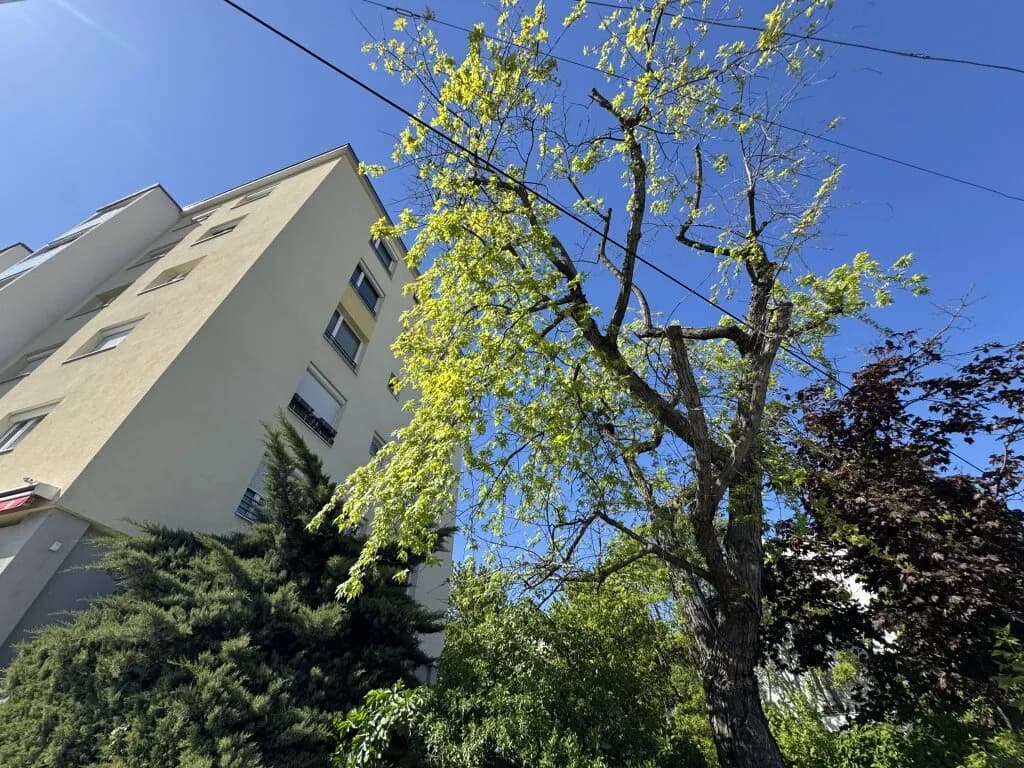 2-Zimmer-Wohnung kaufen in Wien – 52,3 m², € 229.000 – Bild 3 von 17