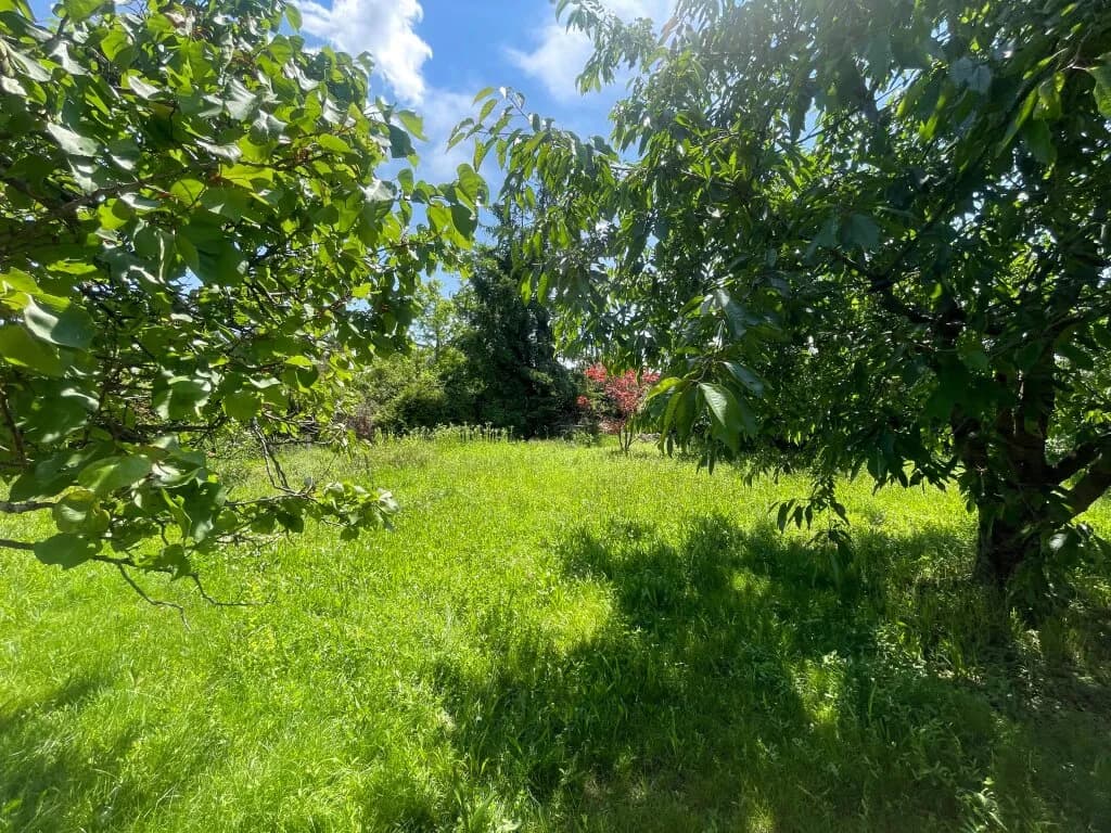2-Zimmer-Wohnung kaufen in Mödling – 41,9 m², € 286.900 – Bild 3 von 4