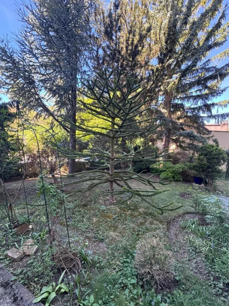 7-Zimmer-Wohnung kaufen in Baden – 1 240 m², € 1.190.000 – Bild 12 von 109