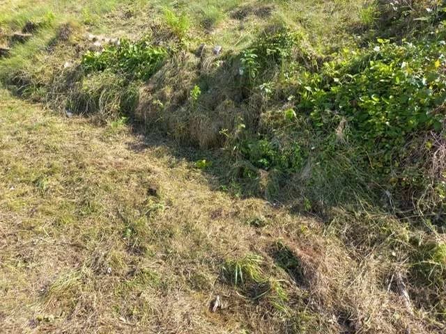 Grundstück kaufen in Braunau am Inn – 1 030 m², € 100.000 – Bild 2 von 6