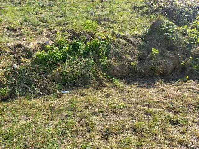 Grundstück kaufen in Braunau am Inn – 1 030 m², € 100.000 – Bild 4 von 6