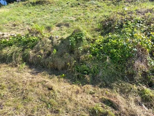 Grundstück kaufen in Braunau am Inn – 1 030 m², € 100.000 – Bild 5 von 6
