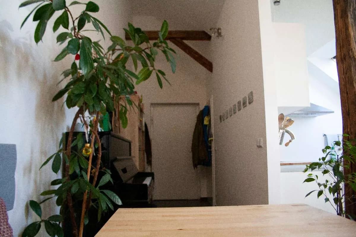 2-Zimmer-Wohnung kaufen in Graz – 56 m², € 159.000 – Bild 3 von 23