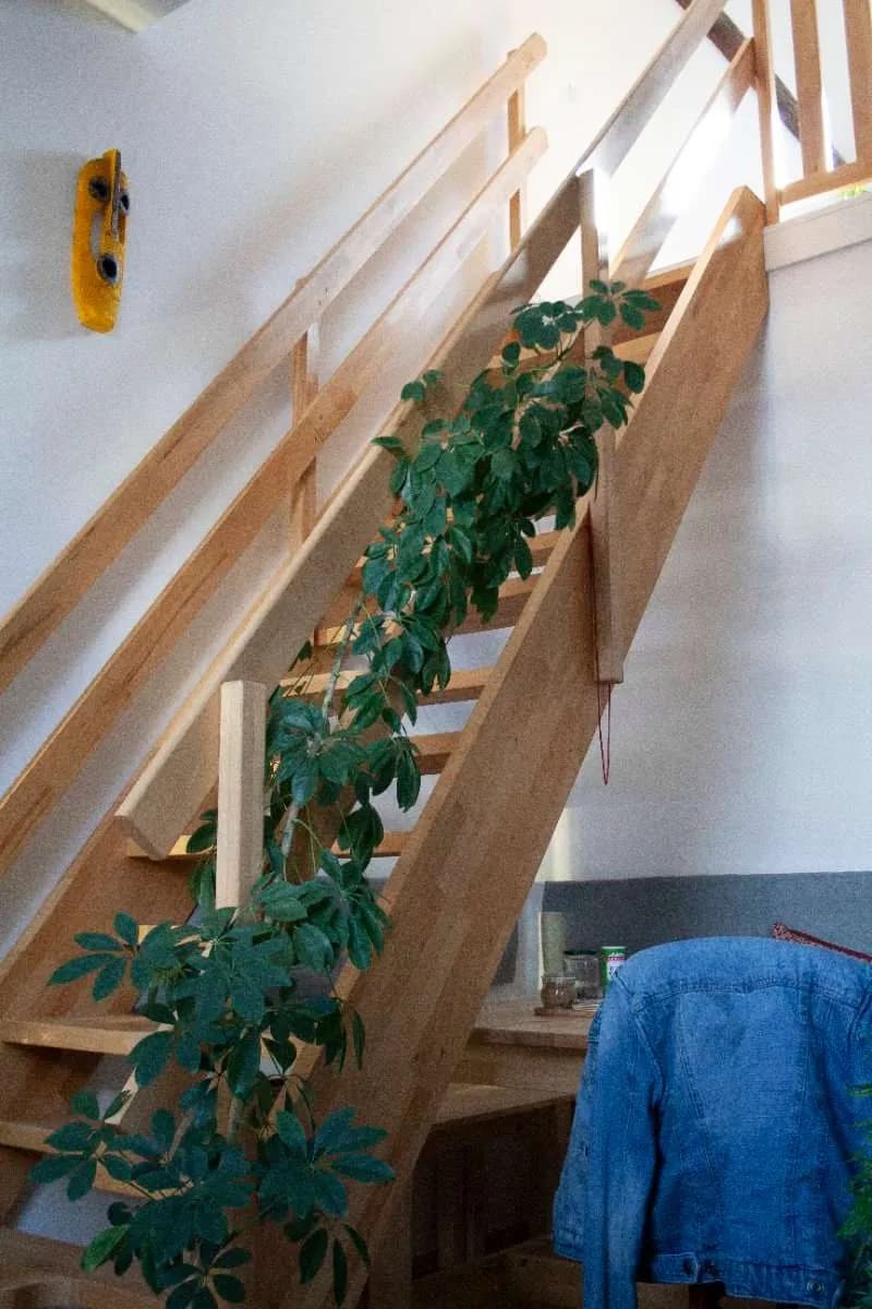 2-Zimmer-Wohnung kaufen in Graz – 56 m², € 159.000 – Bild 11 von 23