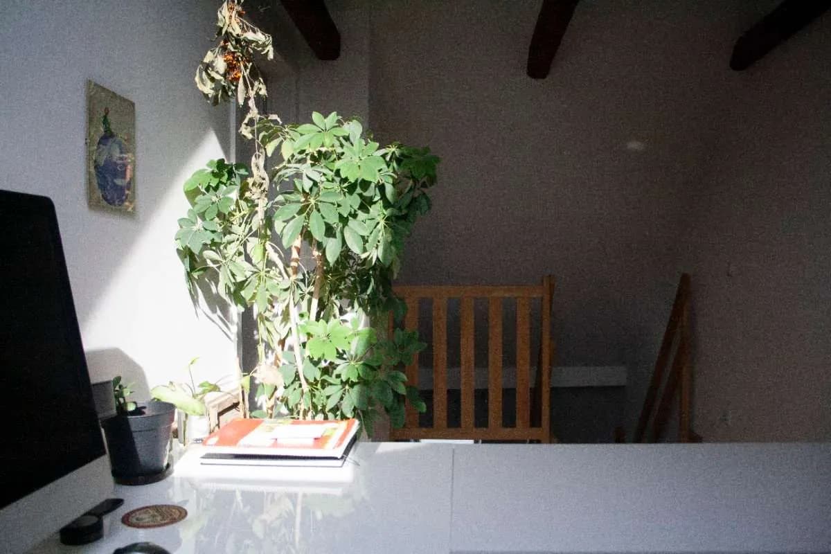 2-Zimmer-Wohnung kaufen in Graz – 56 m², € 159.000 – Bild 15 von 23