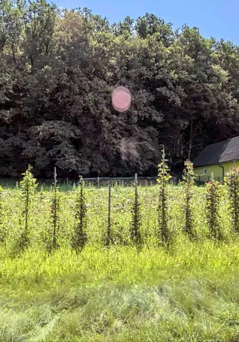 Grundstück kaufen in Leibnitz – 1 557 m², € 69.750 – Bild 3 von 3
