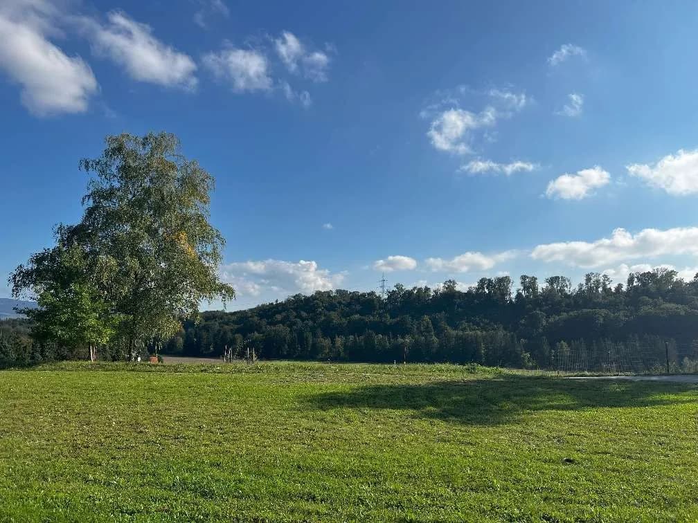3-Zimmer-Wohnung kaufen in Steyr-Land – 80 m², € 363.000 – Bild 9 von 9