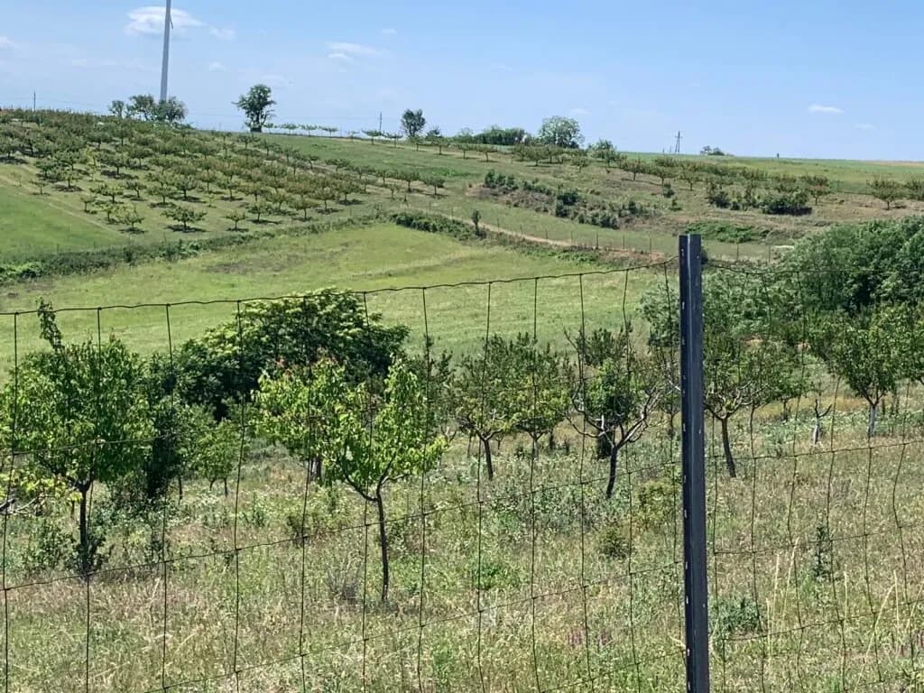 Immobilie kaufen in Gänserndorf – 30 000 m² – Bild 2 von 10