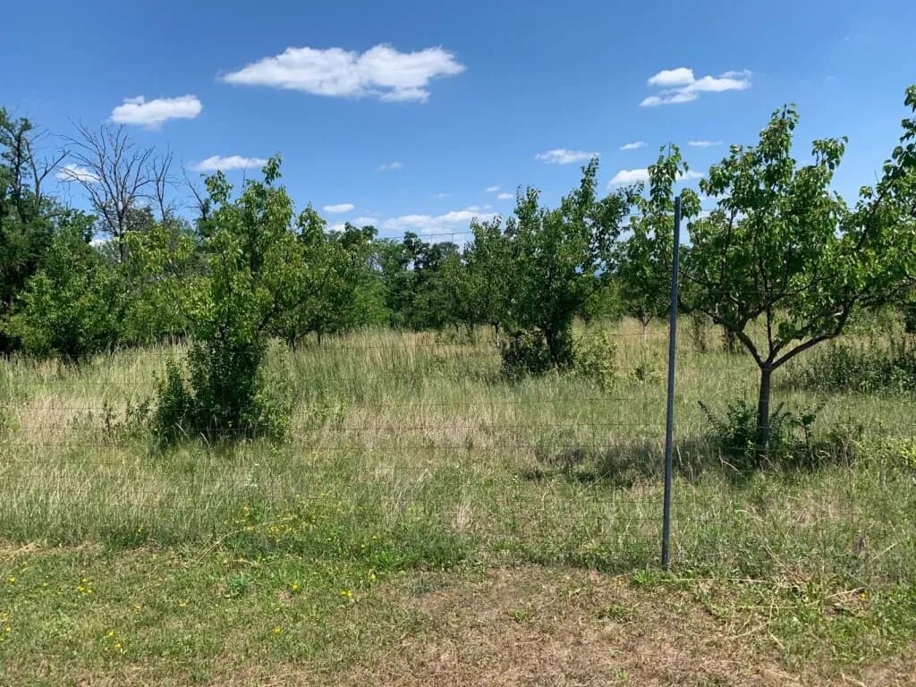Immobilie kaufen in Gänserndorf – 30 000 m² – Bild 4 von 10